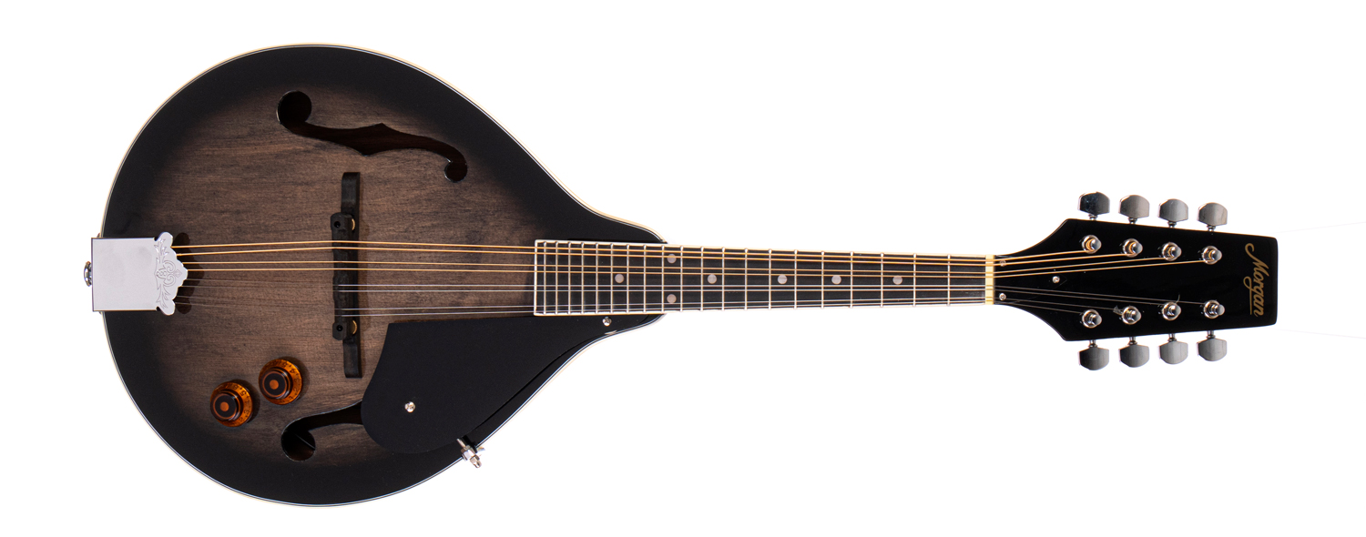 MORGAN MANDOLIN M 20 E TBK